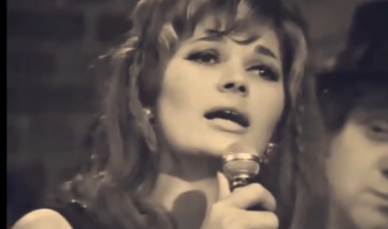 Silvana Armenulić