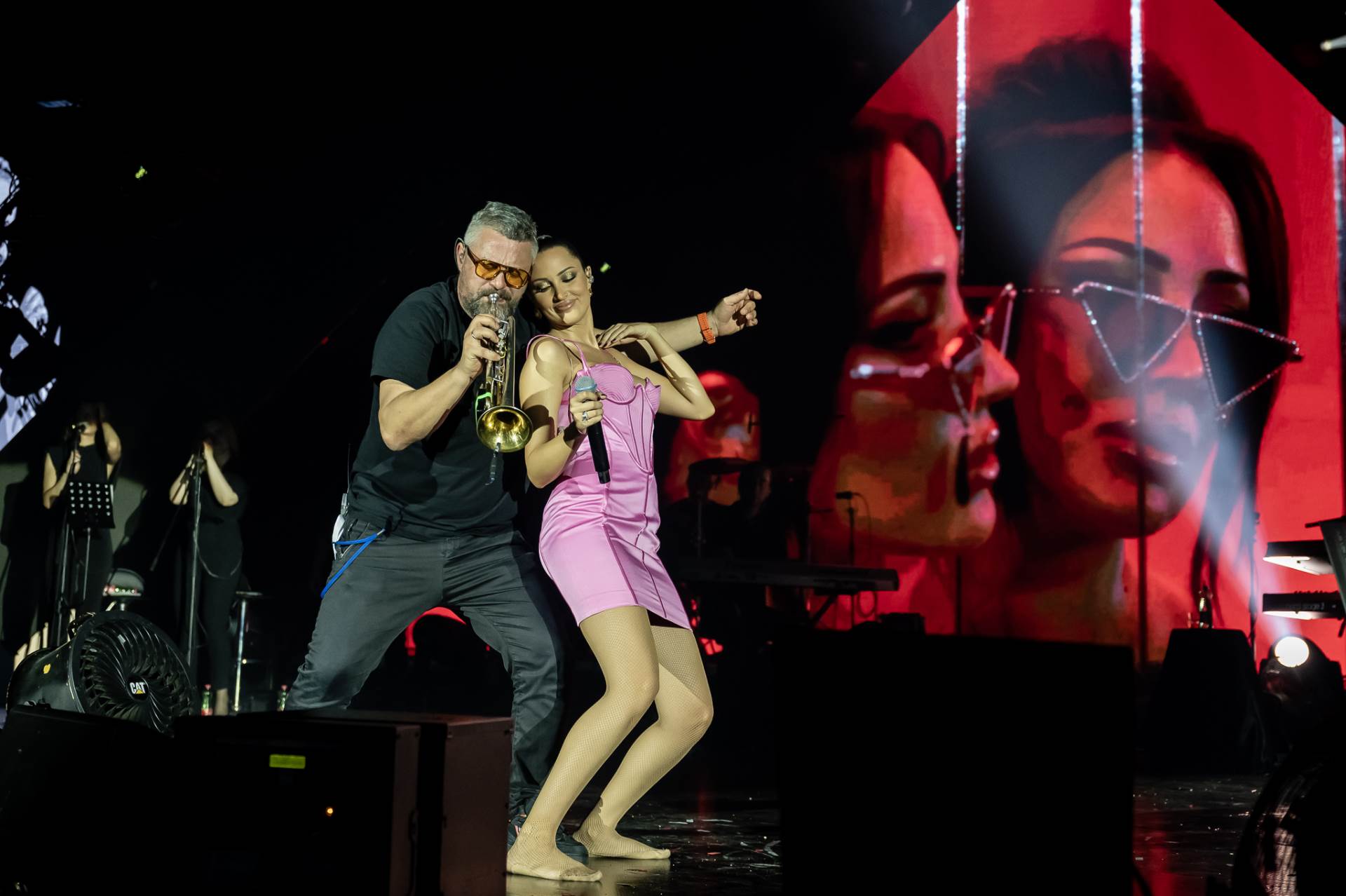 Aleksandra Prijović