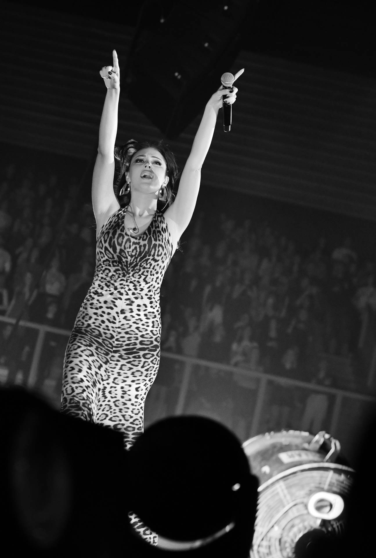 Aleksandra Prijović