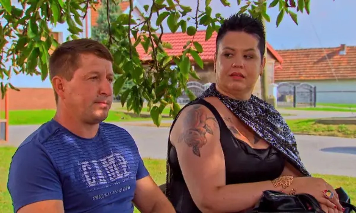 Perka Šipura.jpg