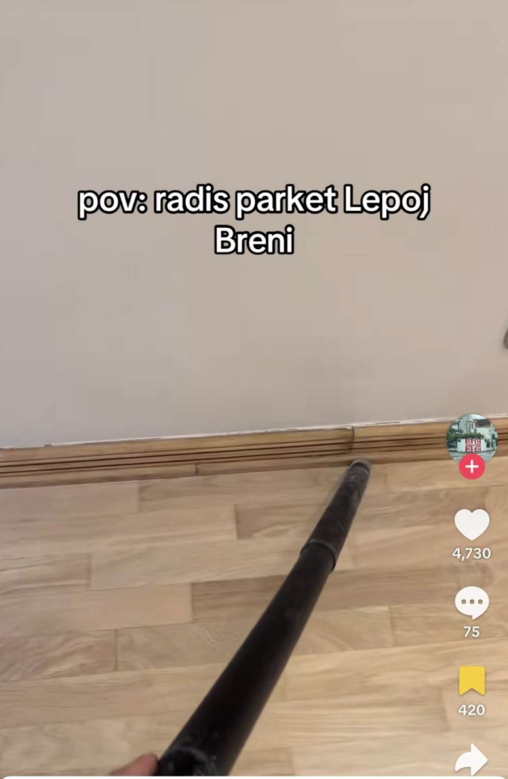 Lepa Brena parket.jpg