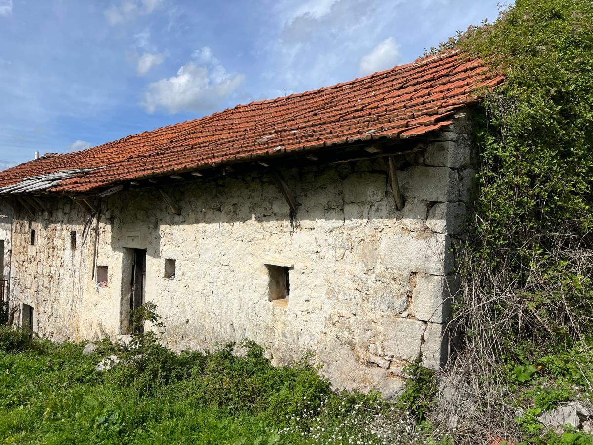 Djedovina Zdravka Čolića