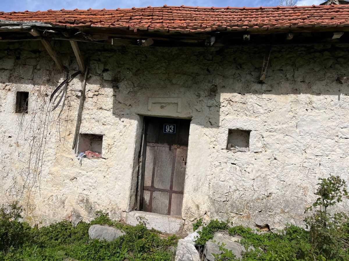 Djedovina Zdravka Čolića