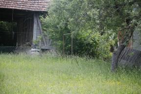 Kuća Ane Nikolić