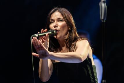 vesna pisarovic