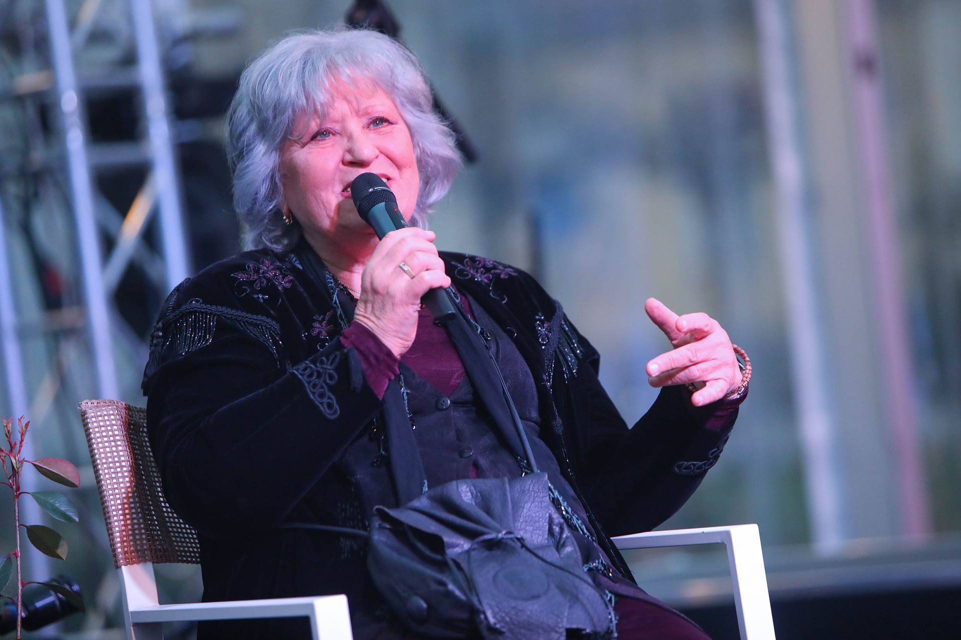 Meri Cetinić