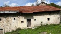 Djedovina Zdravka Čolića