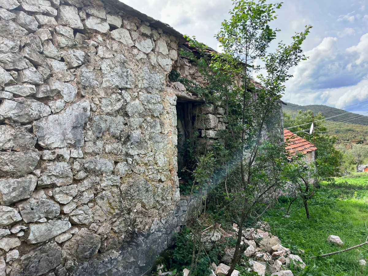 Djedovina Zdravka Čolića
