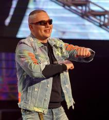 Branislav Radonić Brendon