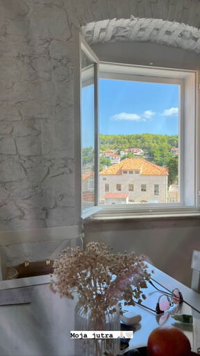 Vila Nine Badrić