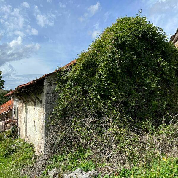 Čola kuća
