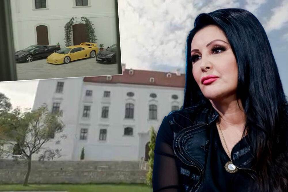 Dragana Mirković.jpg