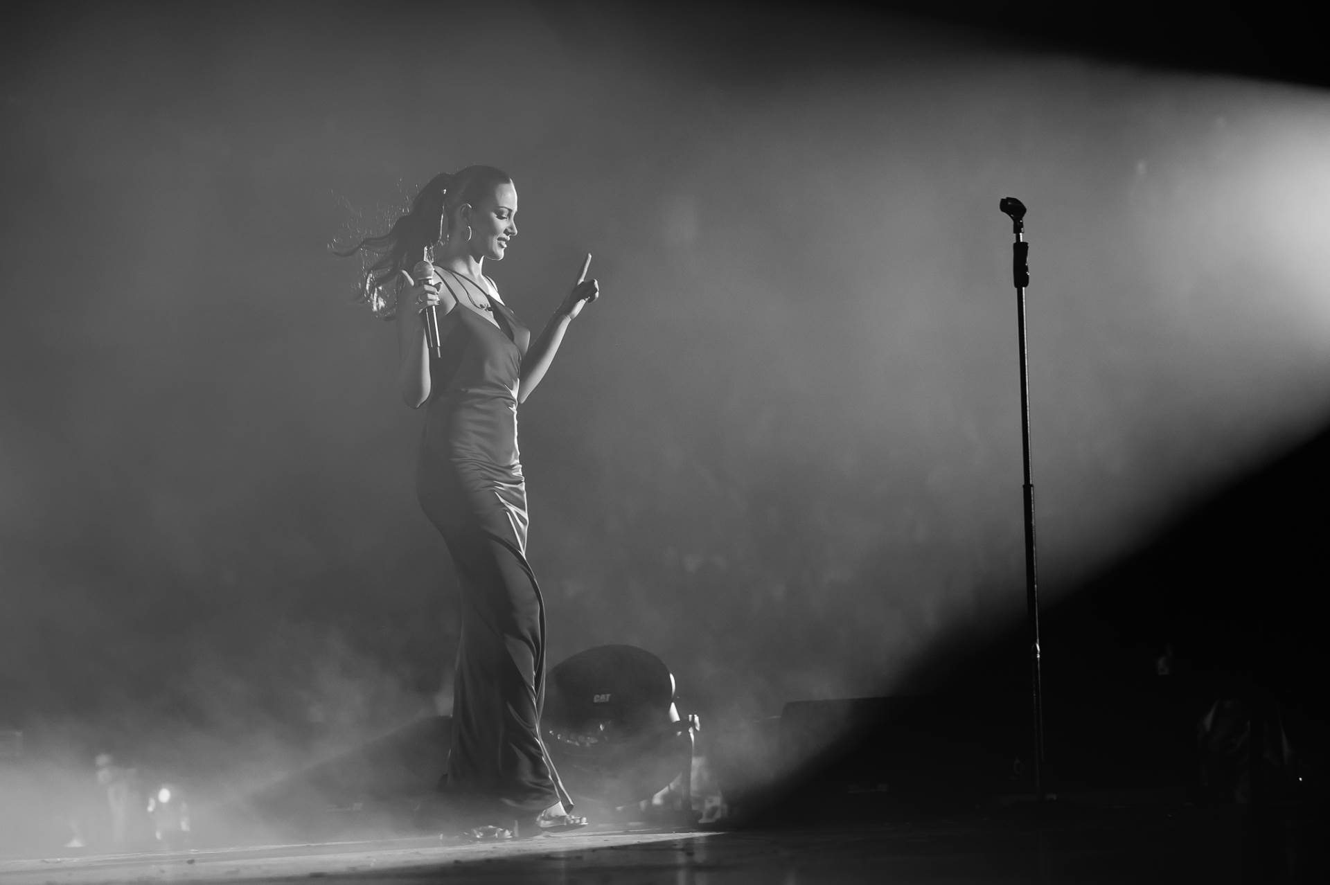 Aleksandra Prijović