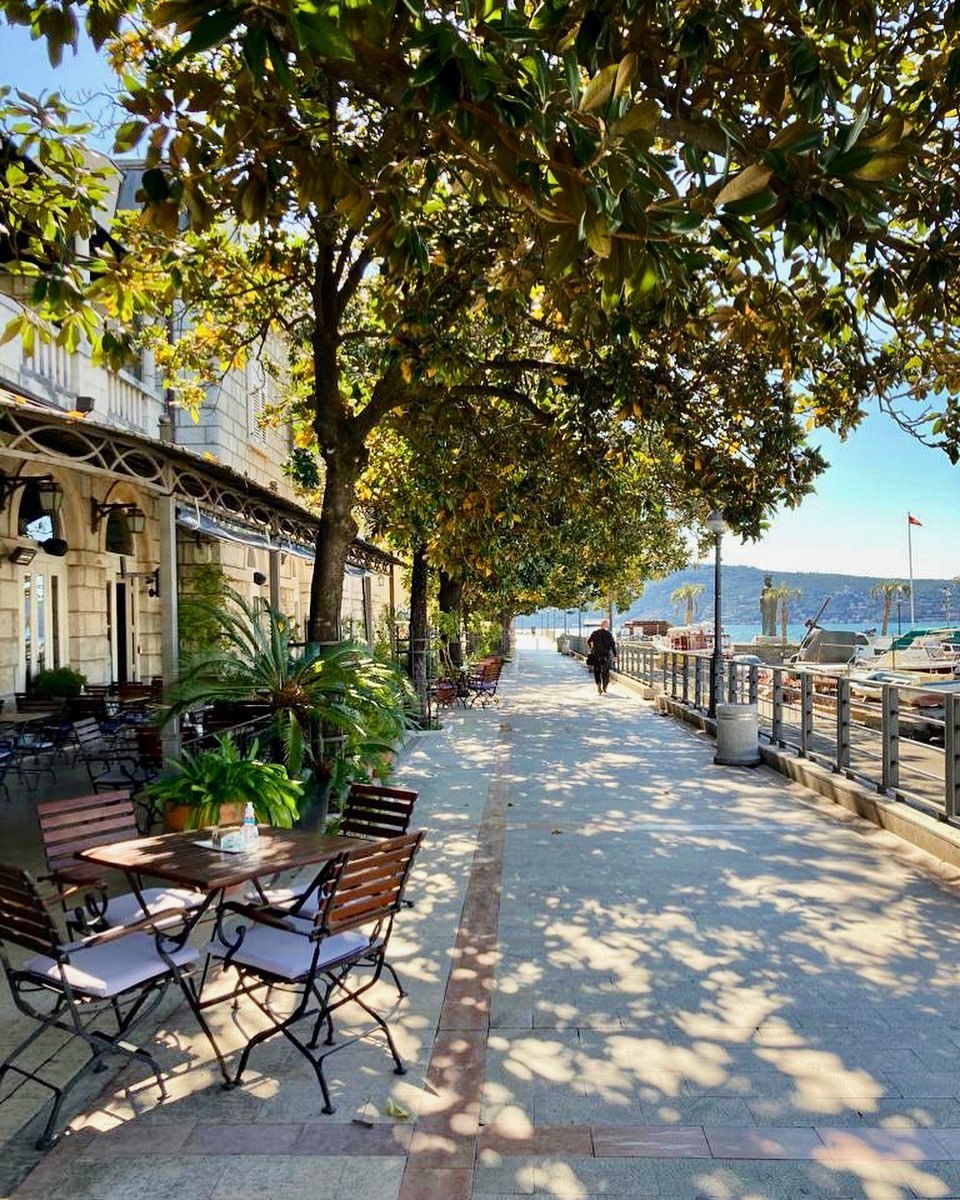 Nekretnina Emira Kusturica