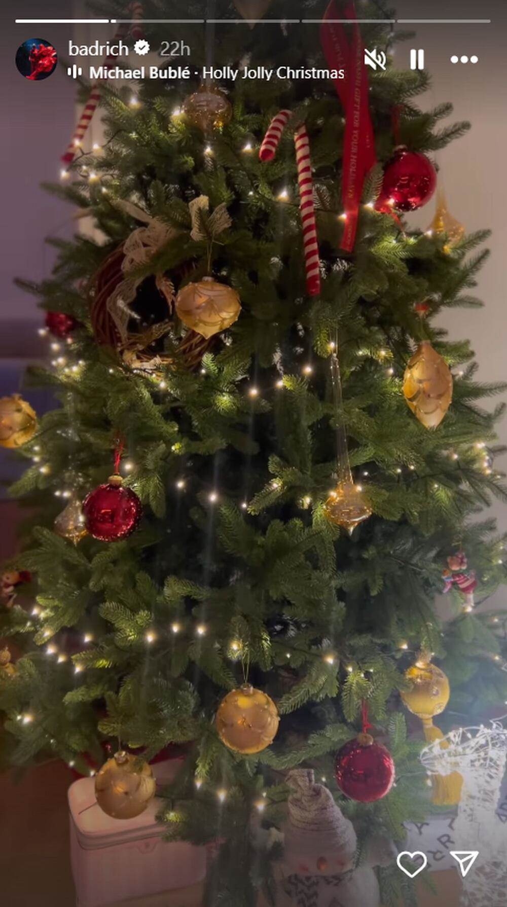 Jelka Nine Badrić.jpg