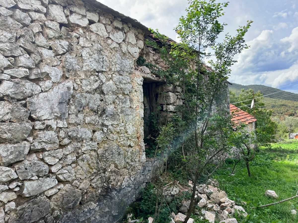 Djedovina Zdravka Čolića