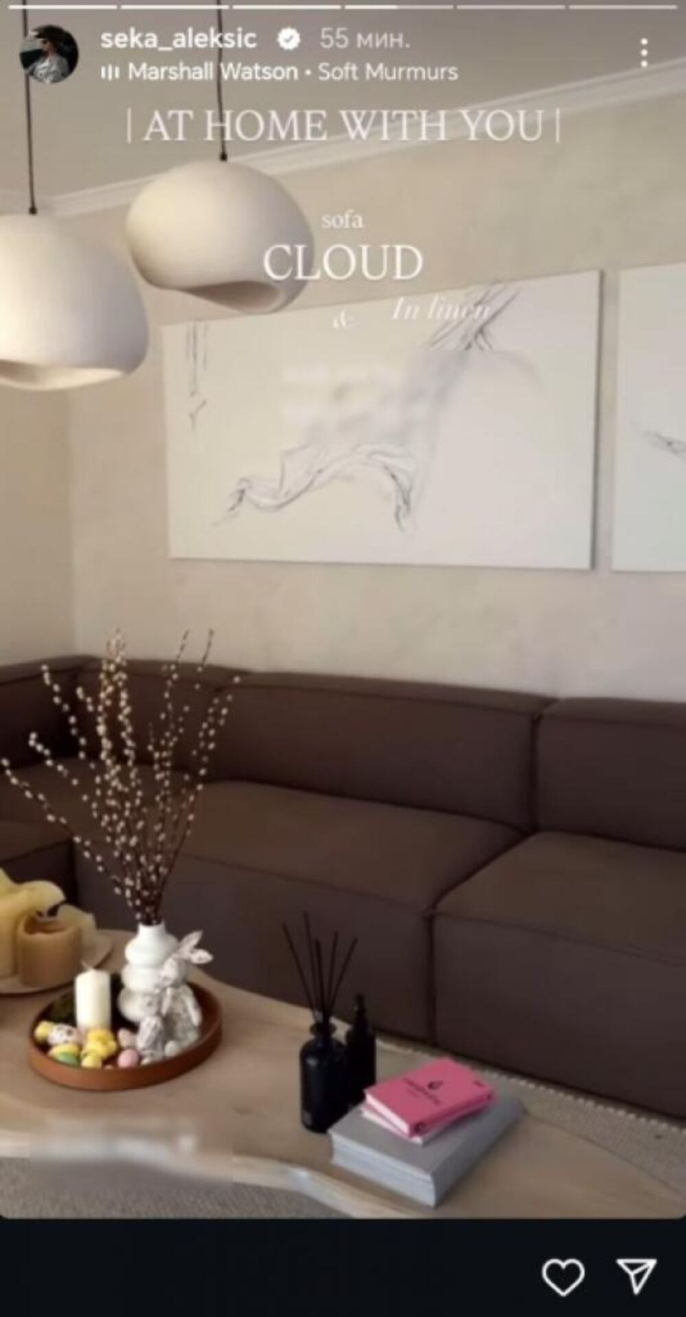 Dnevni boravak Seke Aleksić