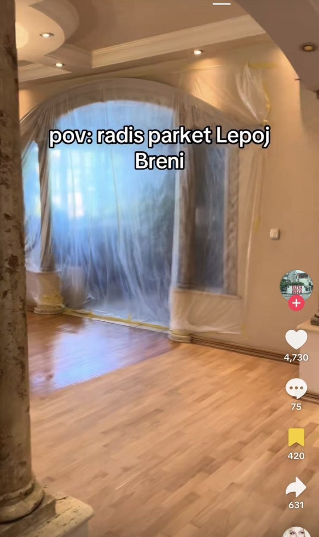 Lepa Brena renoviranje.jpg