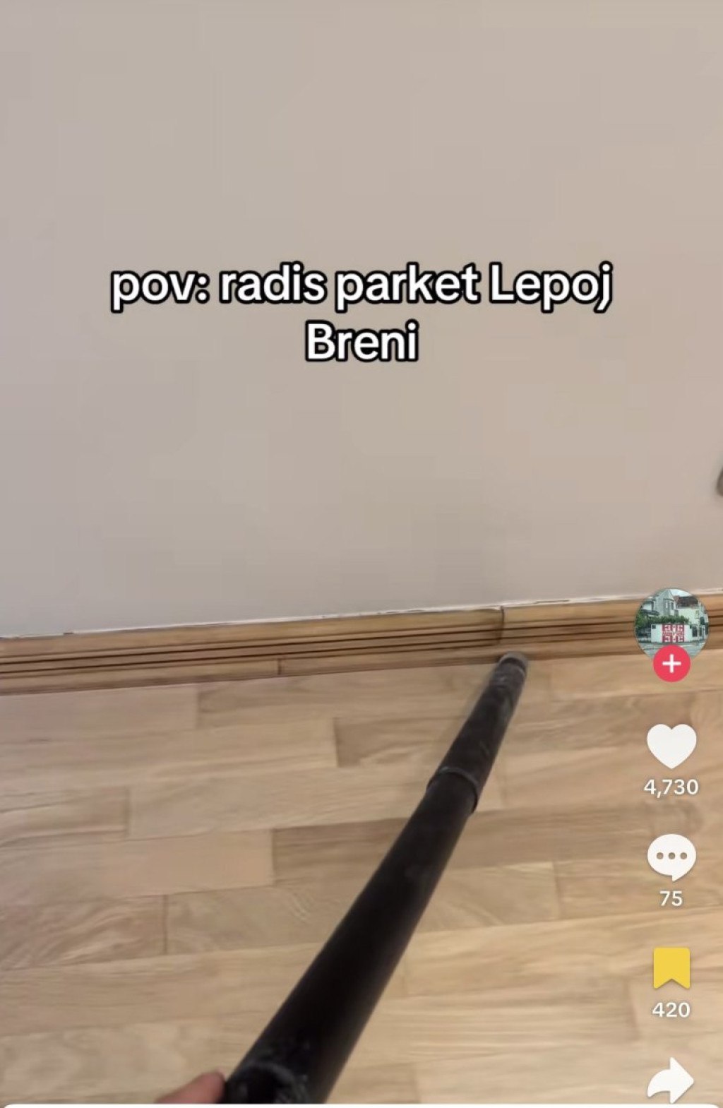 Lepa Brena parket.jpg