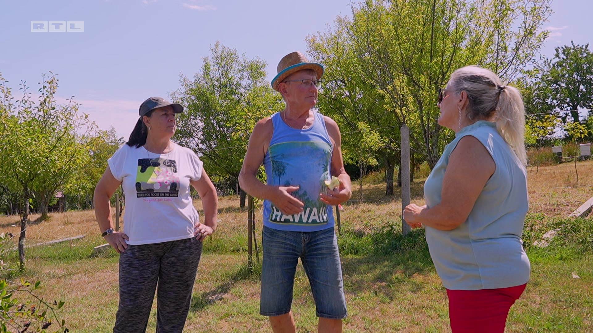 Ljubav je na selu - rasprava.jpg