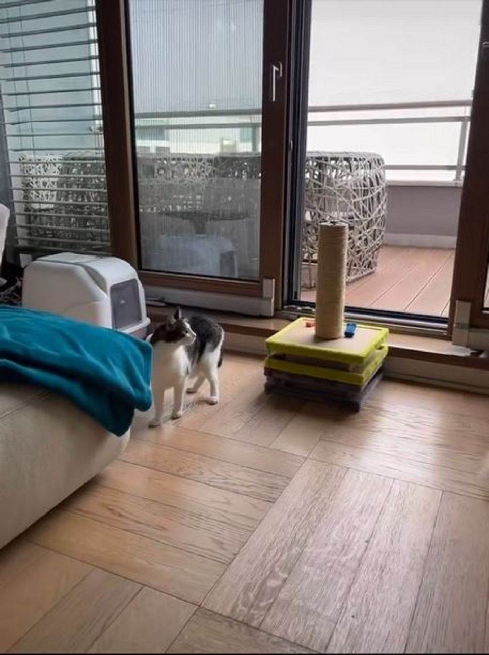 Stan obitelji Đogani.jpg