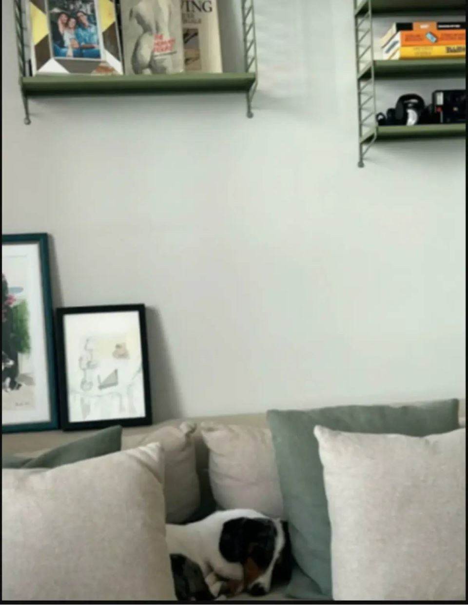 Dom Marka Đokovića