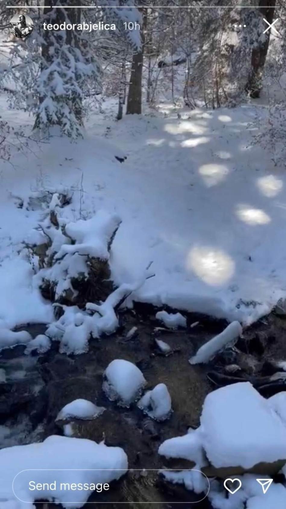Teodora Bjelica s Igorom Kojićem