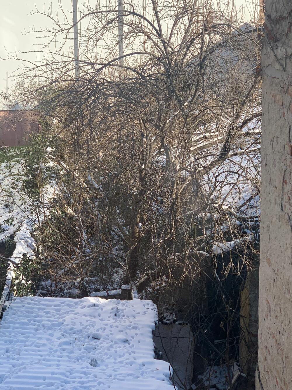 Rodna kuća Džeja Ramadanovskog