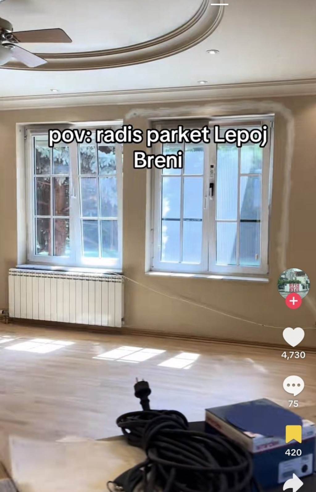 Lepa Brena renovacija.jpg
