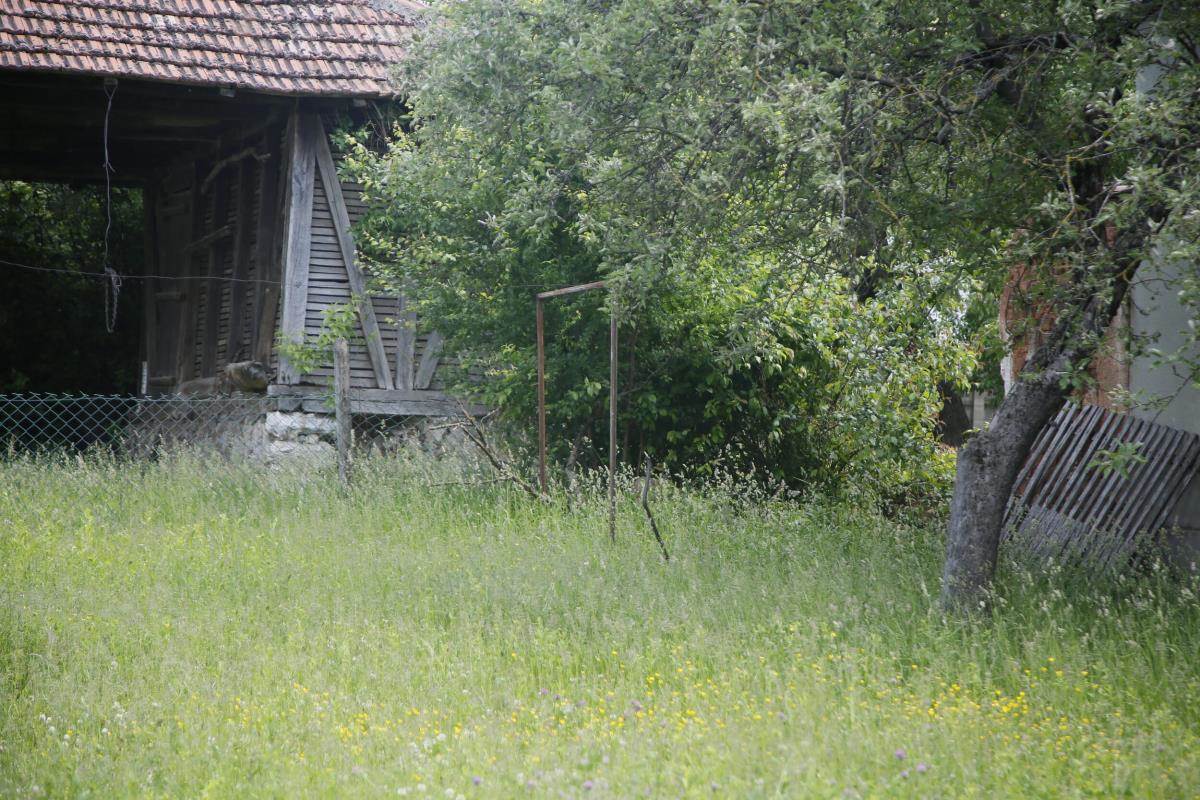 Kuća Ane Nikolić