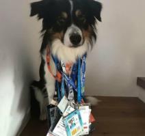 Marko Đoković i Leticia Tessari