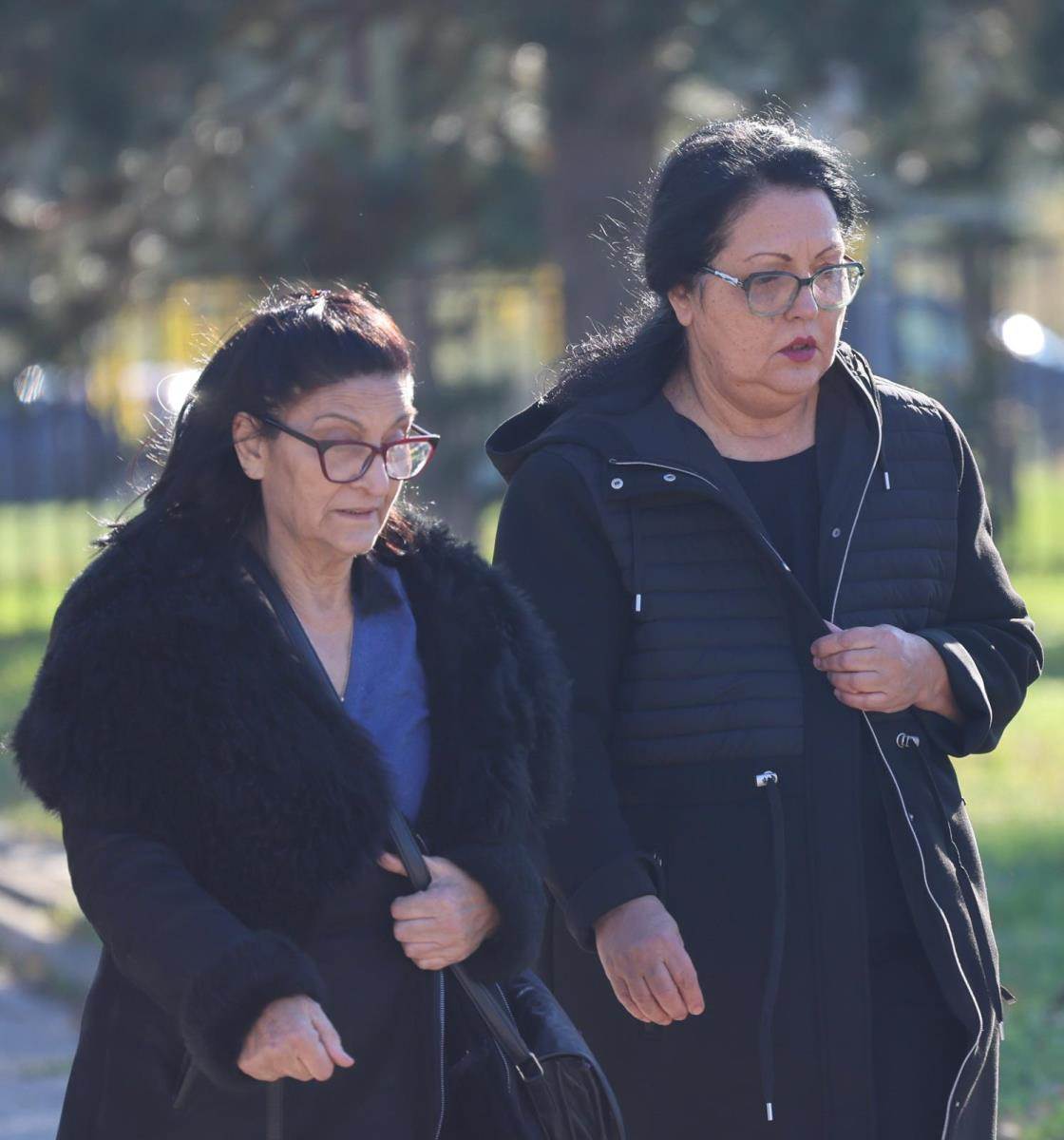 Verica Šerifović.jpg