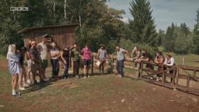 Farma - odabir novog vođe