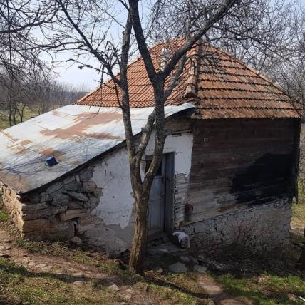 Trošna kuća Milana Topalovića Topalka