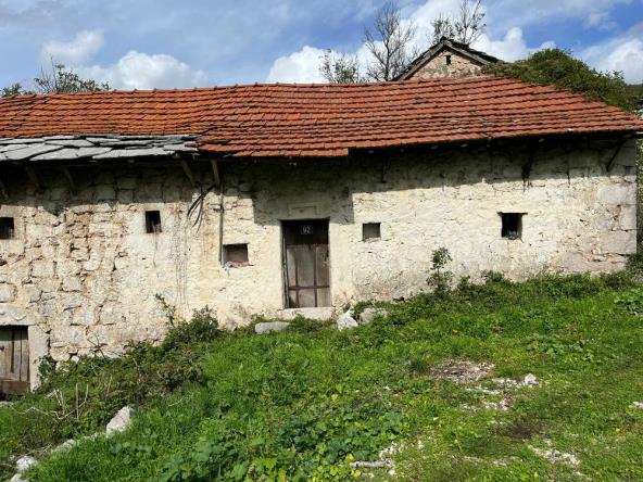 čola kuća.jpg