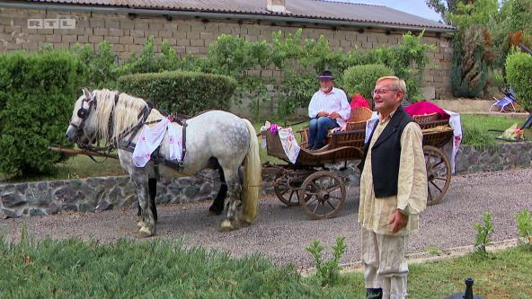 Zeljko iznenadenje.jpg