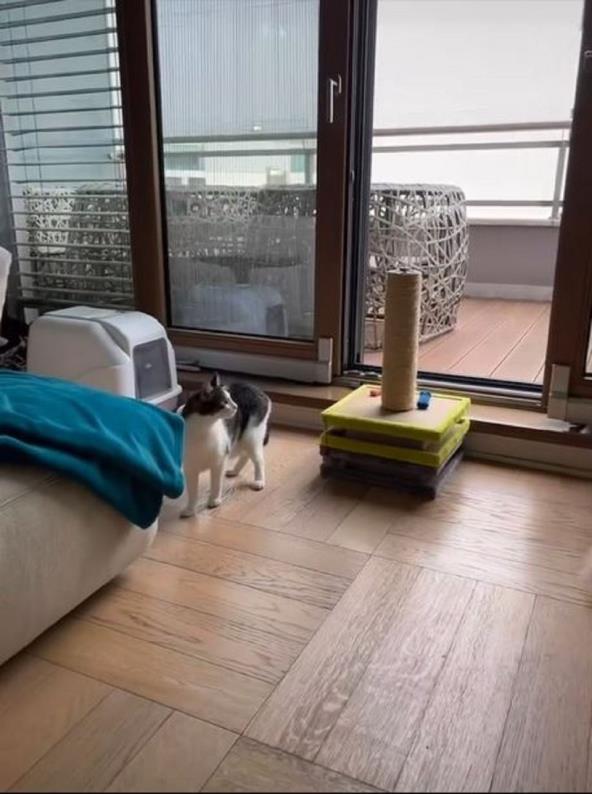 Stan obitelji Đogani.jpg