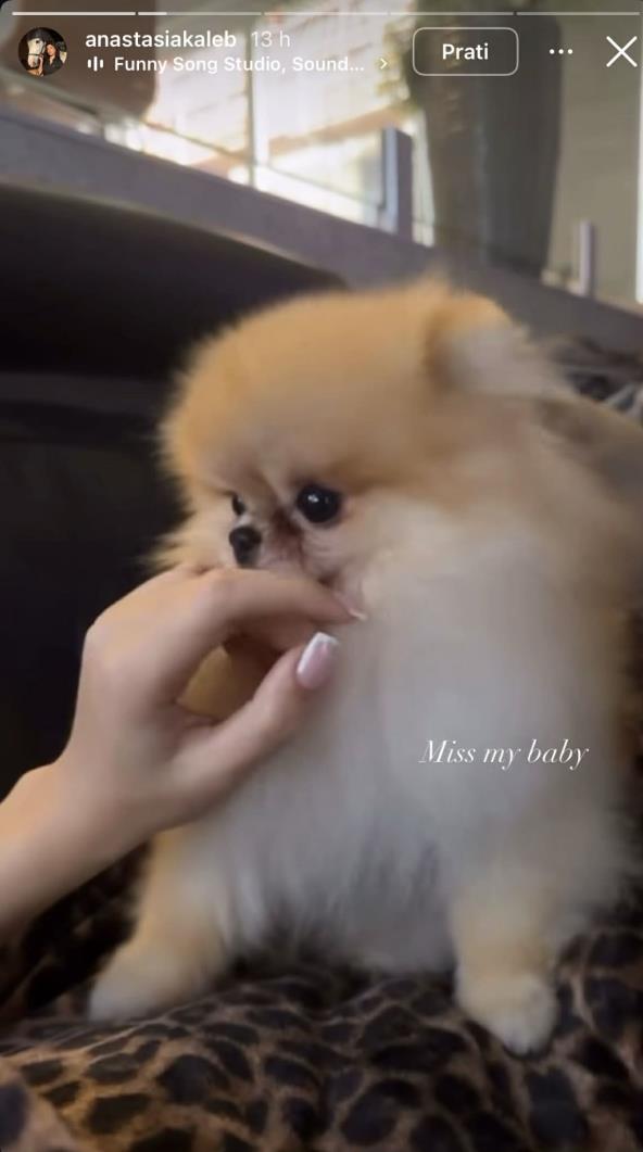 Psić Anastasije Kaleb