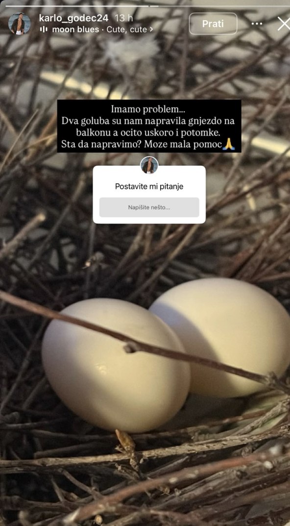 Karlo Godec o gnijezdu