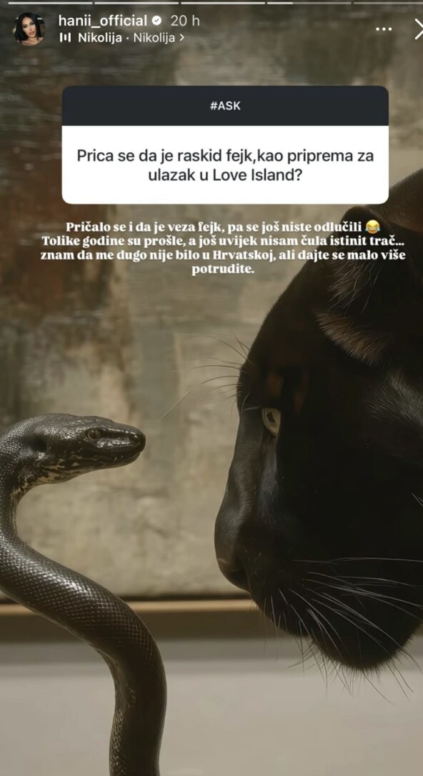 Hana Rodić o vezi s Goranom