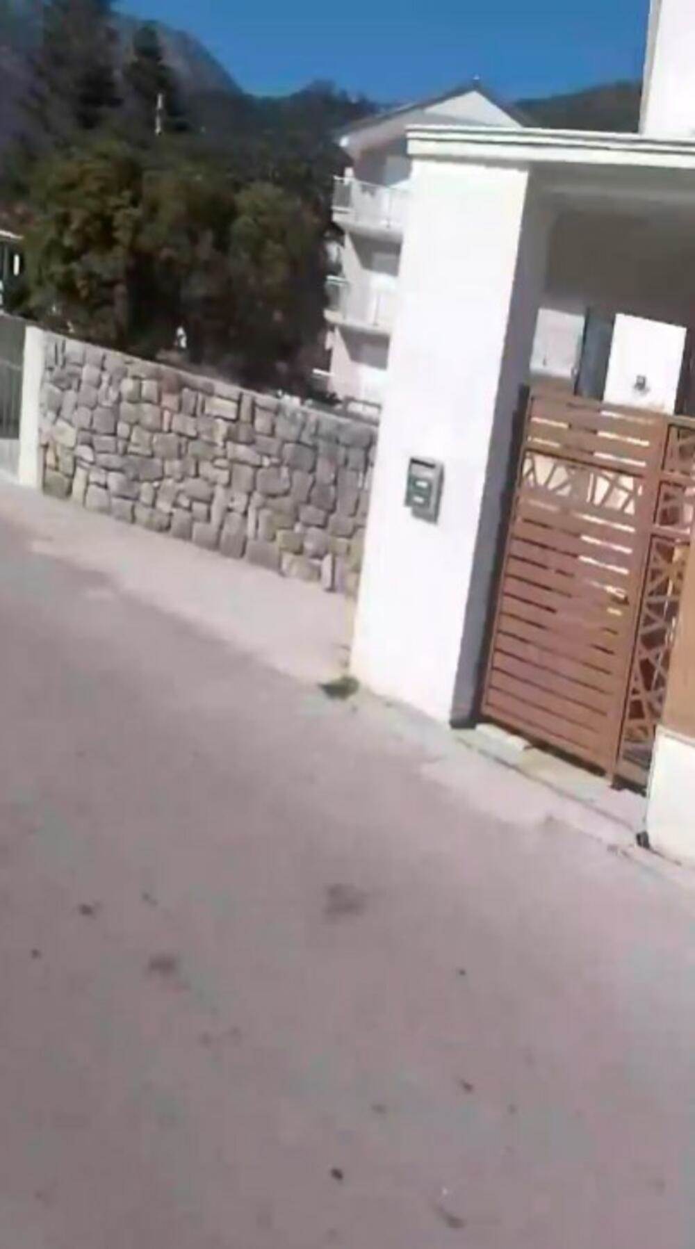 Vila Miloša Bojanića