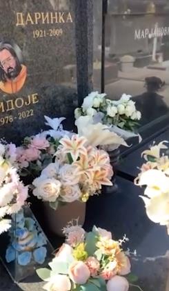 Grob Vidoja Ristovića.jpg