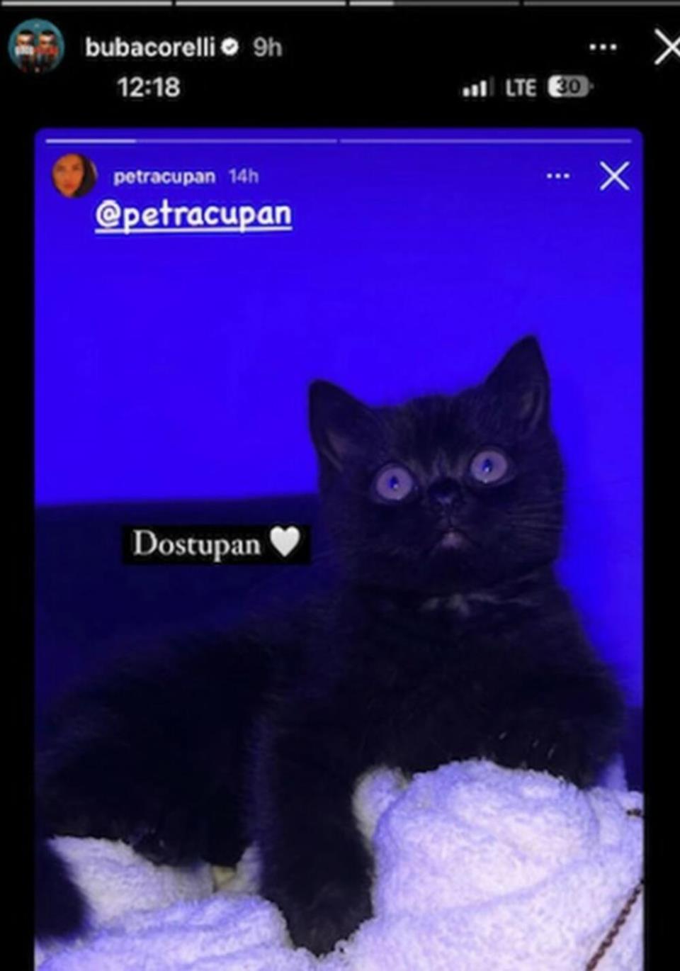 3577680_screenshot-232_ff.jpg